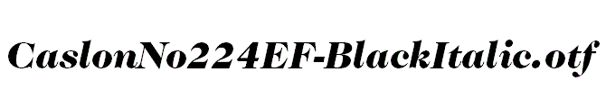CaslonNo224EF-BlackItalic.otf