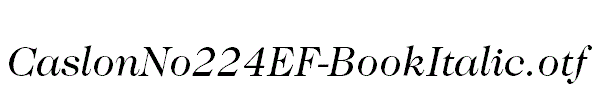 CaslonNo224EF-BookItalic.otf