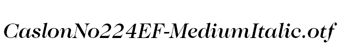 CaslonNo224EF-MediumItalic.otf
