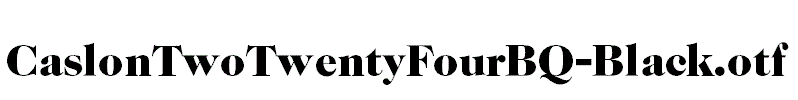CaslonTwoTwentyFourBQ-Black.otf