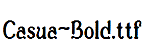 Casua-Bold.ttf