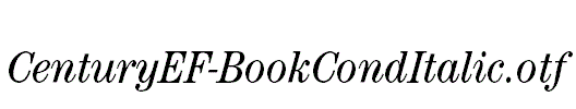 CenturyEF-BookCondItalic.otf