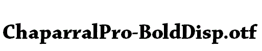 ChaparralPro-BoldDisp.otf