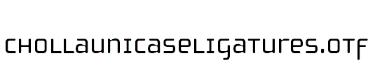 ChollaUnicaseLigatures.otf
