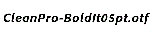 CleanPro-BoldIt05pt.otf