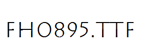 FH0895.TTF