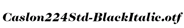 Caslon224Std-BlackItalic.otf