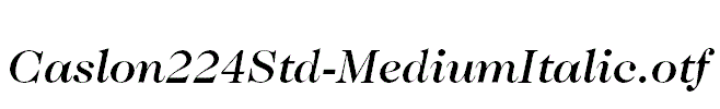 Caslon224Std-MediumItalic.otf