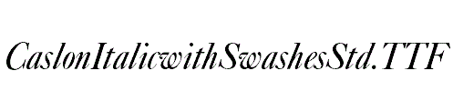 CaslonItalicwithSwashesStd.TTF