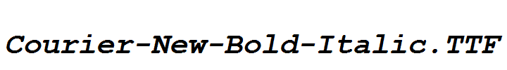 Courier-New-Bold-Italic.TTF