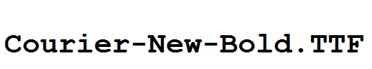 Courier-New-Bold.TTF