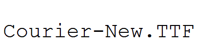 Courier-New.TTF