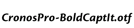 CronosPro-BoldCaptIt.otf