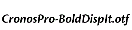 CronosPro-BoldDispIt.otf