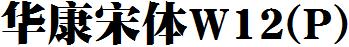 華康宋體W12(P).TTF
