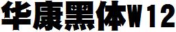 華康黑體W12.ttc