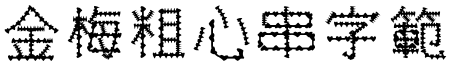 金梅粗心串字範例.TTF