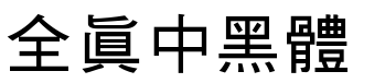 全真中黑體.ttf