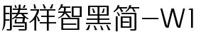 腾祥智黑简-W1