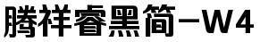腾祥睿黑简-W4