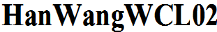 王漢宗特明體壹標準.ttf
